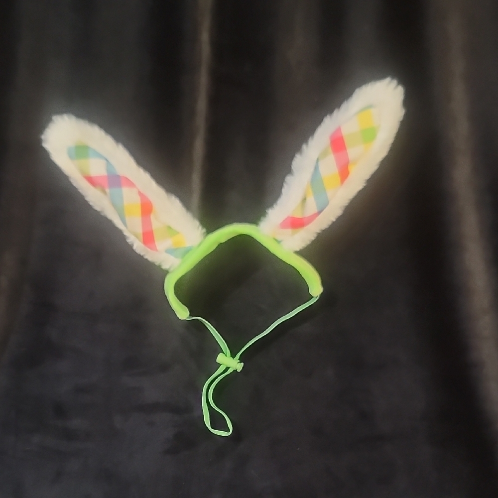 Colorful Bunny Ear Headband